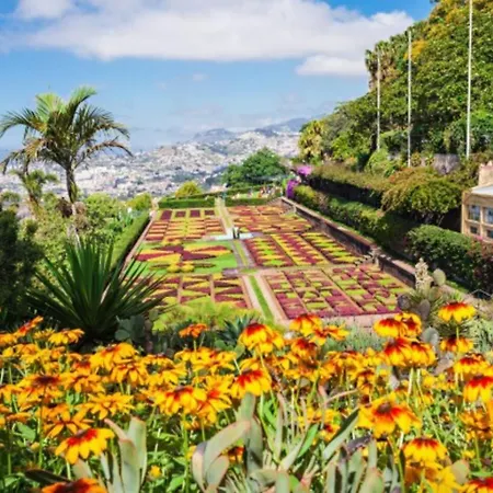 Comfortable 2-bedroom For Relaxing Funchal (Madeira)