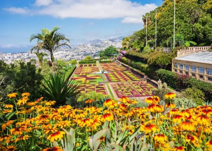 Comfortable 2-bedroom For Relaxing Funchal (Madeira)